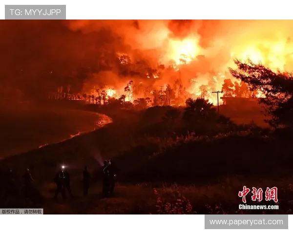 尊龙会官网会员登录入口网址官方入口网址查询及登录指南