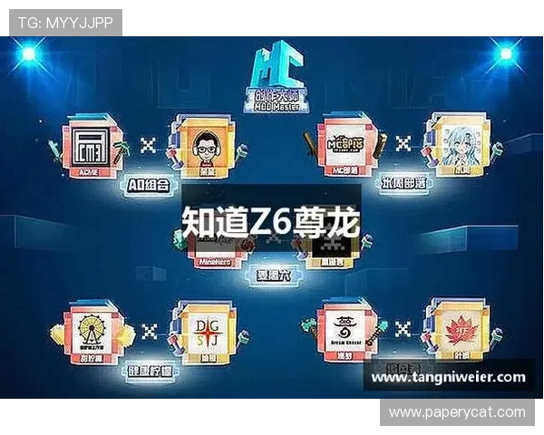 尊龙凯时在线玩介绍平台的安全支付方式保障玩家资金安全与交易顺畅