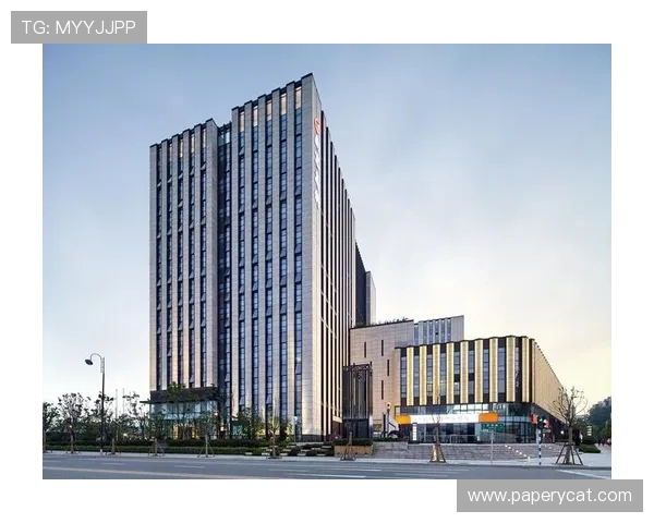 凯时尊龙官网app最新版本更新内容,体验新功能与优化提升带来的全新感受