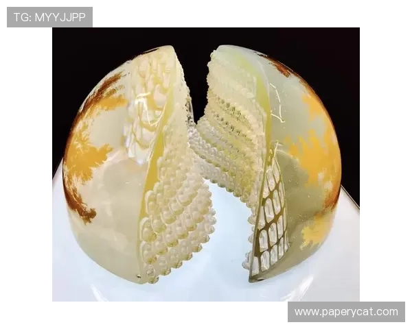 尊龙凯时人生就是搏 官网分享玩家成功经验与高端战术指南