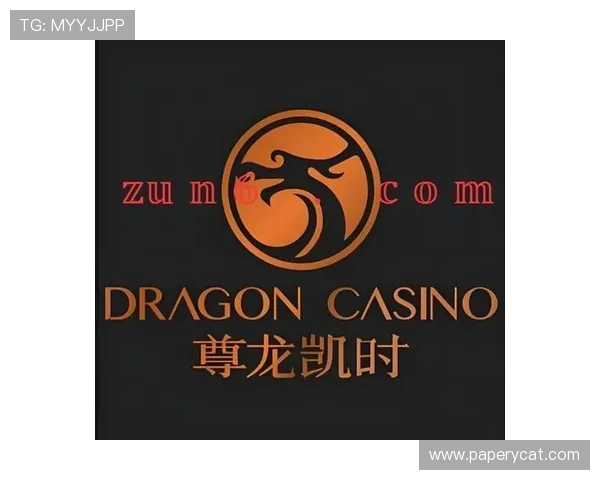 尊龙时凯中国集团人生官网:详细了解企业产品线、服务内容及客户案例分析