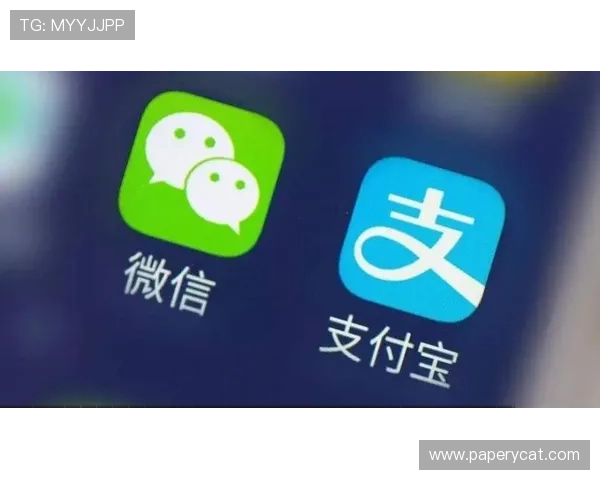 尊龙app苹果版的安全支付方式，保障用户资金安全的详细介绍